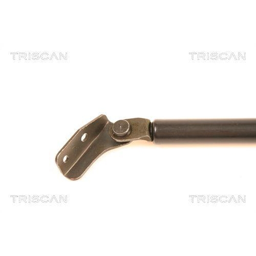 TRISCAN Gasfeder, Koffer-/Laderaum