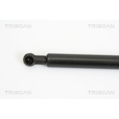 TRISCAN Gasfeder, Koffer-/Laderaum 8710 13273