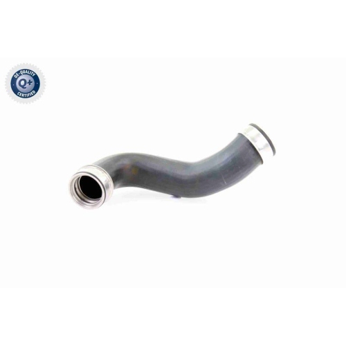 VAICO Ladeluftschlauch Q+, Erstausrüsterqualität V30-2648