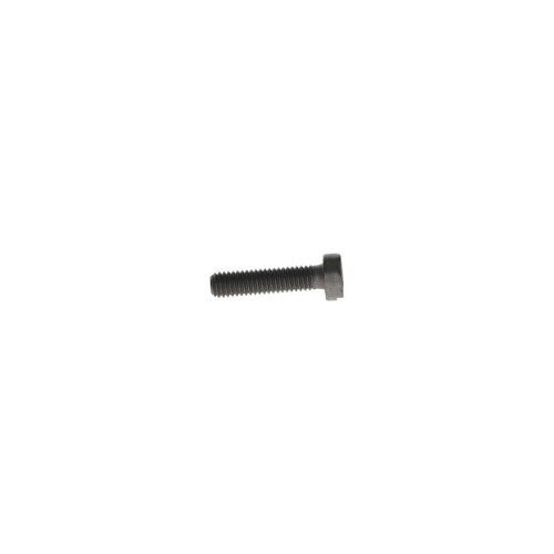 BOSCH Schraube F 00N 202 190