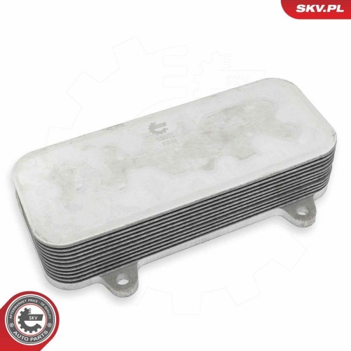ESEN SKV &Ouml;lk&uuml;hler, Motor&ouml;l 31SKV272