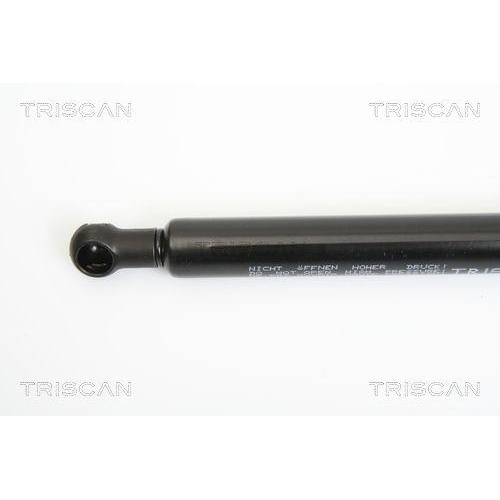 TRISCAN Gasfeder, Koffer-/Laderaum 8710 14244