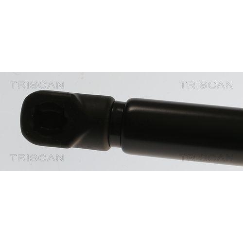 TRISCAN Gasfeder, Koffer-/Laderaum 8710 82004