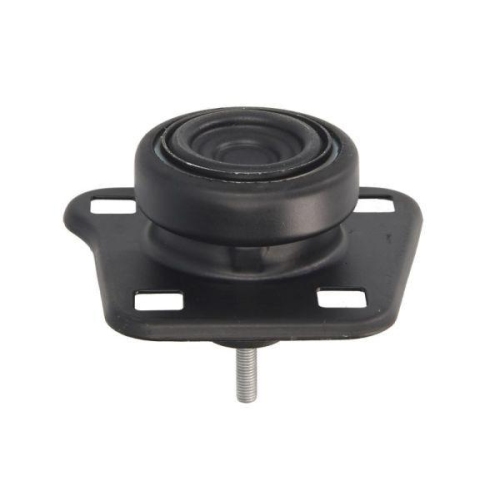REINHOCH Lagerung, Motor RH11-4004