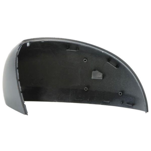 BLIC Gehäuse, Außenspiegel 6103-10-2002266P
