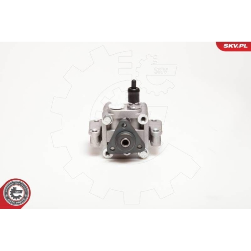 ESEN SKV Hydraulikpumpe, Lenkung 10SKV109