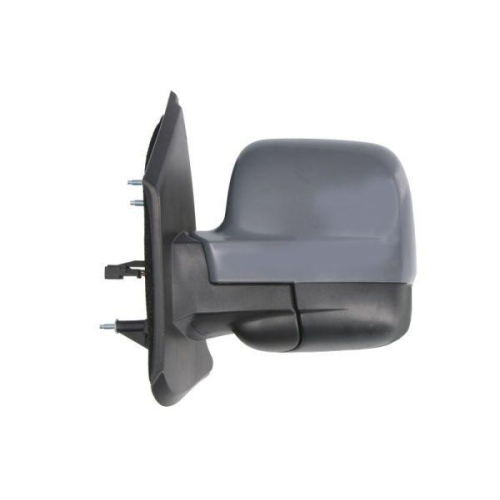 BLIC Au&szlig;enspiegel 5402-09-2476314P