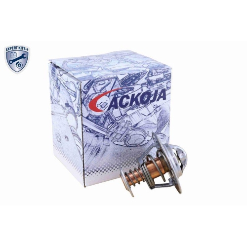 ACKOJA Thermostat, K&uuml;hlmittel EXPERT KITS + A52-99-0025