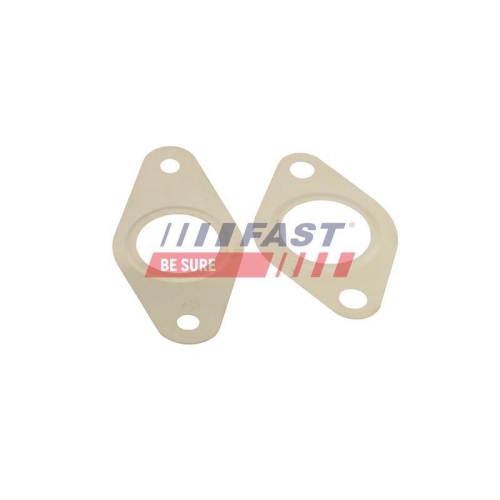 FAST Dichtungssatz, AGR-System FT50621