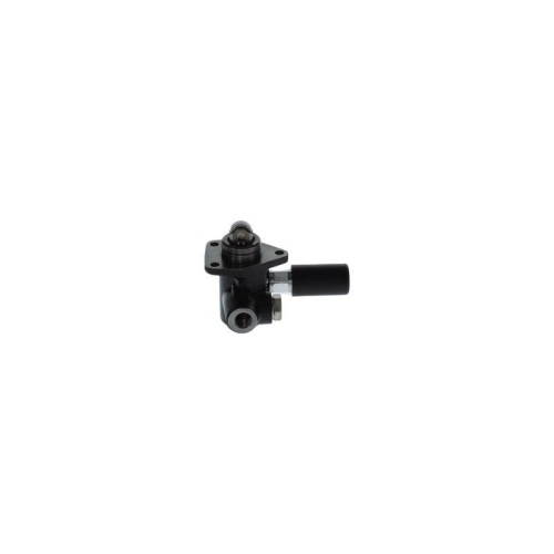 BOSCH Kraftstoffpumpe 0 440 008 007