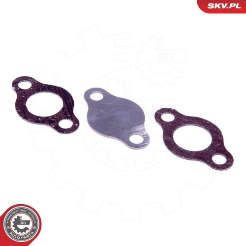 ESEN SKV Reparatursatz, AGR-Ventil 14SKV572
