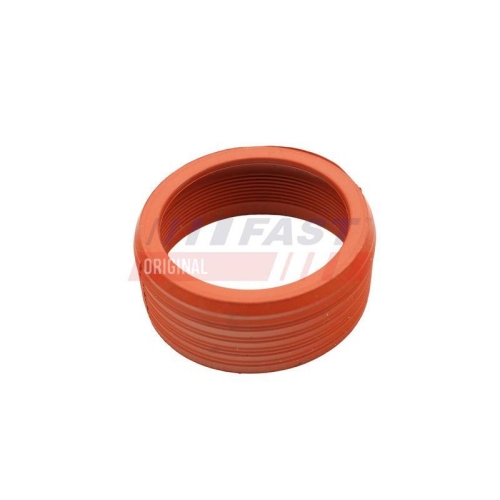 FAST Dichtring, Ansaugschlauch (Luftfiltergeh&auml;use) FT48948