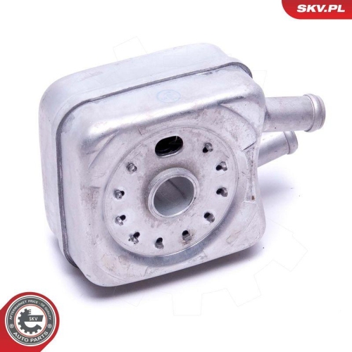ESEN SKV &Ouml;lk&uuml;hler, Motor&ouml;l 31SKV202