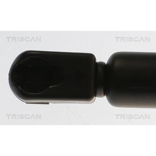 TRISCAN Gasfeder, Koffer-/Laderaum 8710 29315
