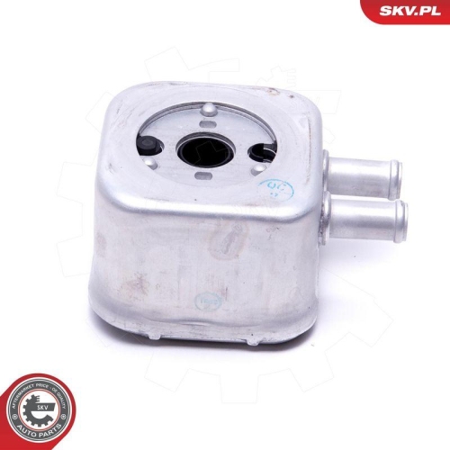 ESEN SKV &Ouml;lk&uuml;hler, Motor&ouml;l 31SKV205