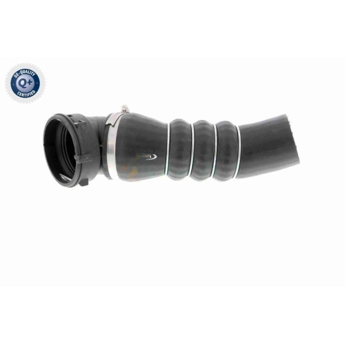 VAICO Ladeluftschlauch Q+, Erstausr&uuml;sterqualit&auml;t V20-1626