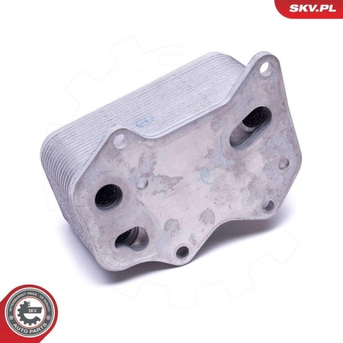 ESEN SKV &Ouml;lk&uuml;hler, Motor&ouml;l 31SKV206