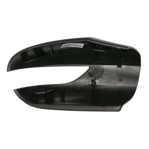 BLIC Gehäuse, Außenspiegel 6103-01-1391557P