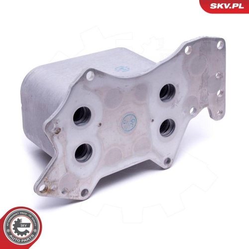 ESEN SKV &Ouml;lk&uuml;hler, Motor&ouml;l 31SKV212