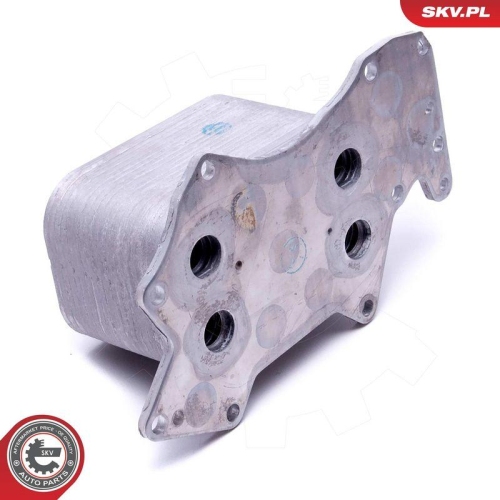 ESEN SKV &Ouml;lk&uuml;hler, Motor&ouml;l 31SKV213