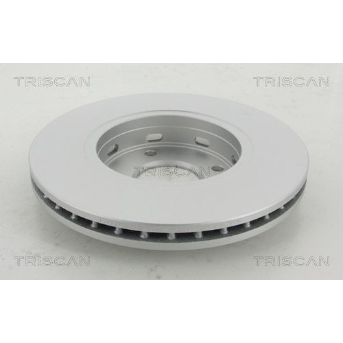 TRISCAN Bremsscheibe 8120 101026C