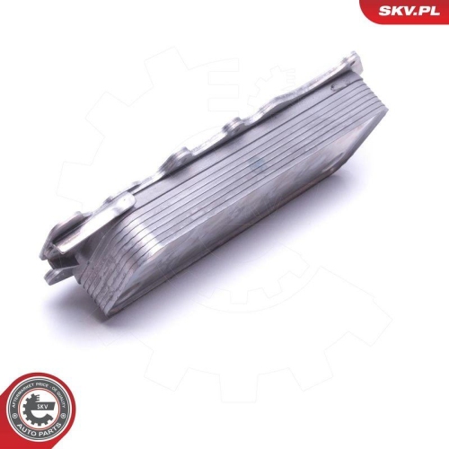 ESEN SKV &Ouml;lk&uuml;hler, Motor&ouml;l 31SKV217