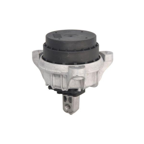 REINHOCH Lagerung, Motor RH11-3080
