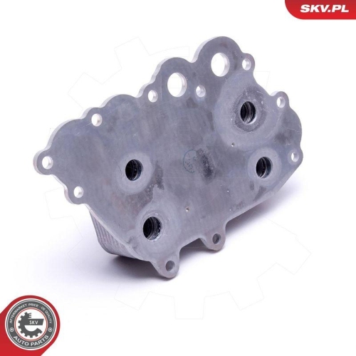 ESEN SKV &Ouml;lk&uuml;hler, Motor&ouml;l 31SKV218