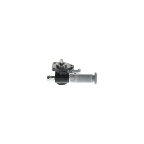 BOSCH Kraftstoffpumpe H 105 220 701
