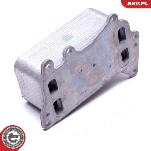 ESEN SKV &Ouml;lk&uuml;hler, Motor&ouml;l 31SKV222