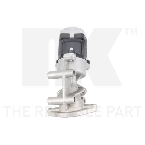 NK AGR-Ventil 4540002