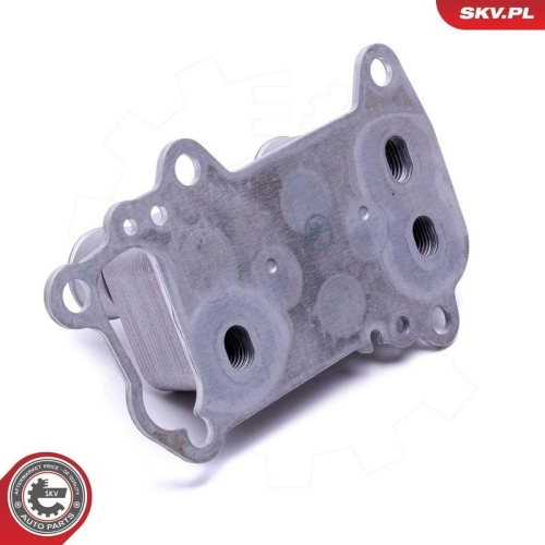 ESEN SKV &Ouml;lk&uuml;hler, Motor&ouml;l 31SKV225