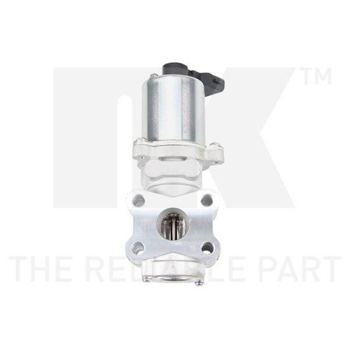 NK AGR-Ventil 4545004