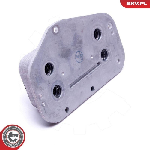 ESEN SKV &Ouml;lk&uuml;hler, Motor&ouml;l 31SKV231