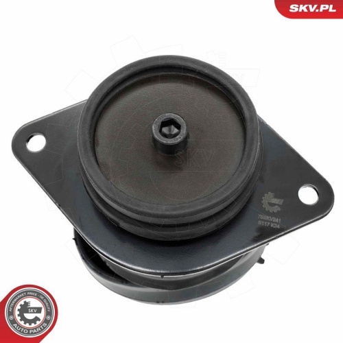 ESEN SKV Lagerung, Motor 75SKV241