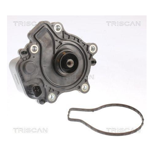 TRISCAN Wasserpumpe, Motork&uuml;hlung Original 8600 13049