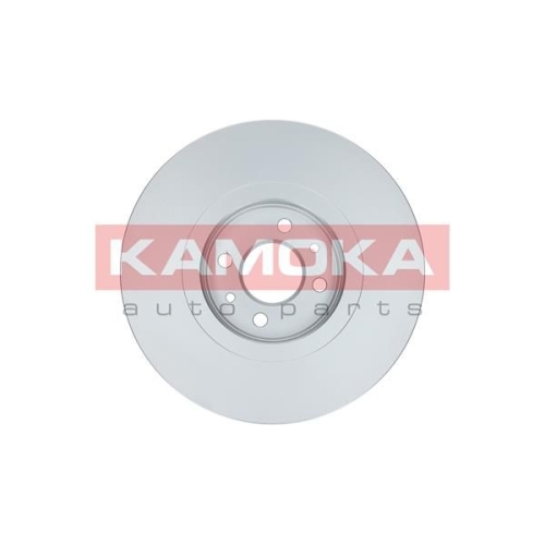 KAMOKA Bremsscheibe 1033026