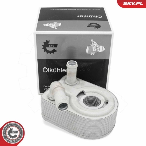 ESEN SKV &Ouml;lk&uuml;hler, Motor&ouml;l 31SKV303