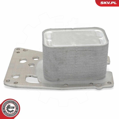 ESEN SKV &Ouml;lk&uuml;hler, Motor&ouml;l 31SKV378
