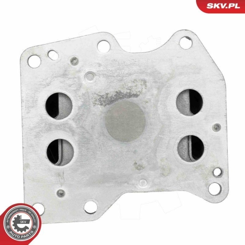 ESEN SKV &Ouml;lk&uuml;hler, Motor&ouml;l 31SKV383