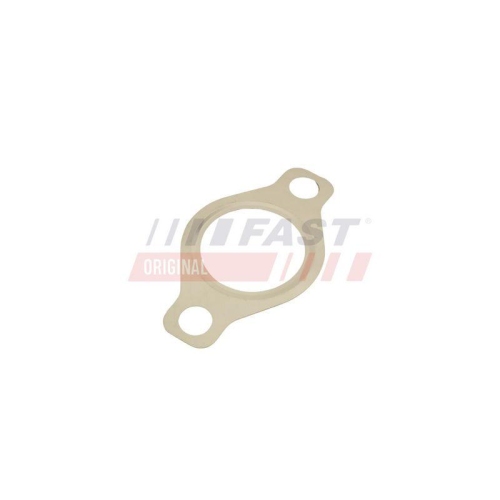 FAST Dichtung, AGR-Ventil FT50618