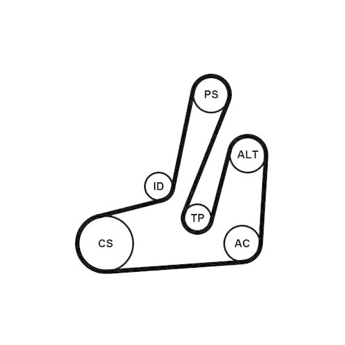 CONTINENTAL CTAM Keilrippenriemensatz 6PK1390K1