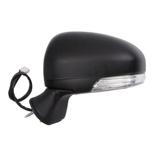 BLIC Außenspiegel 5402-19-2002451P