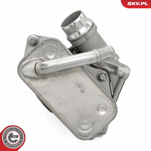 ESEN SKV &Ouml;lk&uuml;hler, Motor&ouml;l 31SKV442