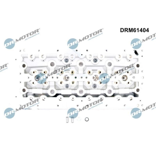Dr.Motor Automotive Zylinderkopf DRM61404