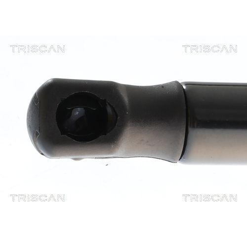 TRISCAN Gasfeder, Koffer-/Laderaum 8710 43309