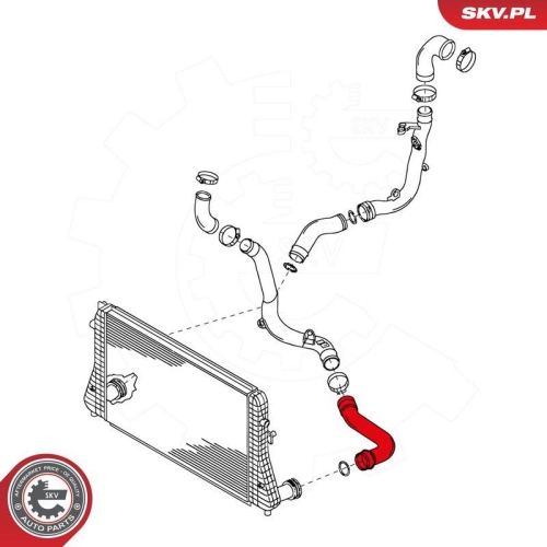 ESEN SKV Ladeluftschlauch 24SKV050