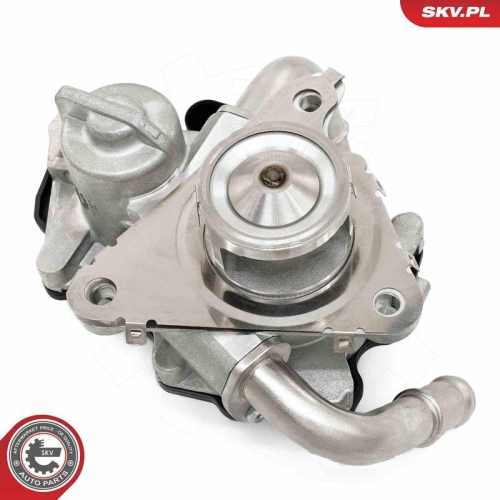 ESEN SKV AGR-Ventil 14SKV278