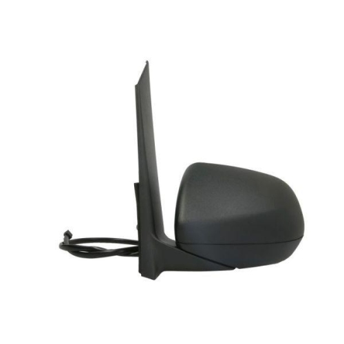 BLIC Außenspiegel 5402-04-0203893P