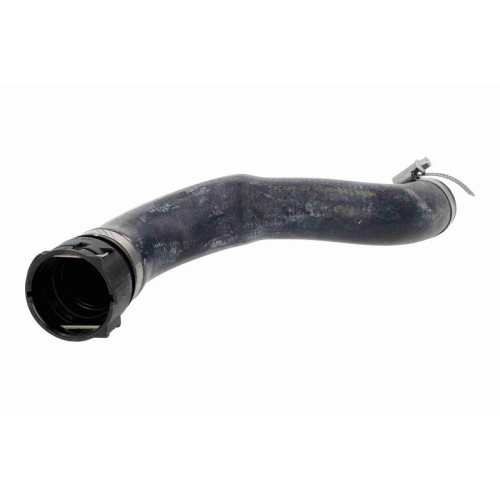 VAICO K&uuml;hlerschlauch Green Mobility Parts V20-2373